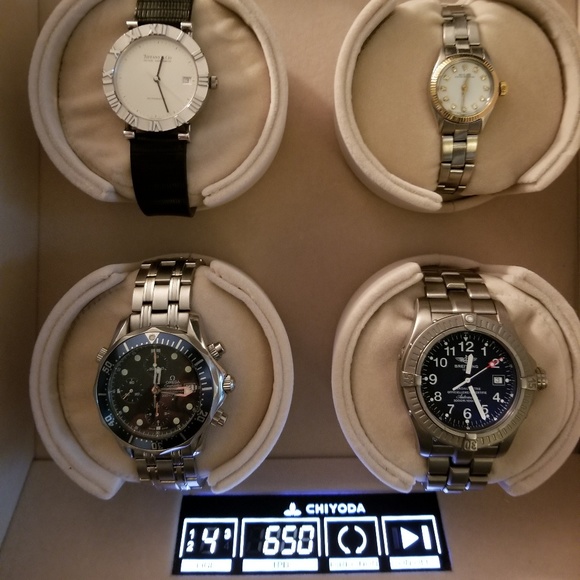 Meet your Posher, Sammy - Picture 2 of 6